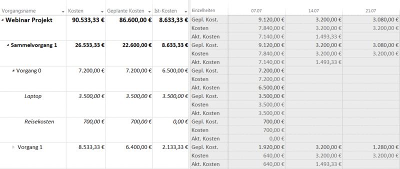 MS Project Soll-Ist-Vergleich - Ansichten