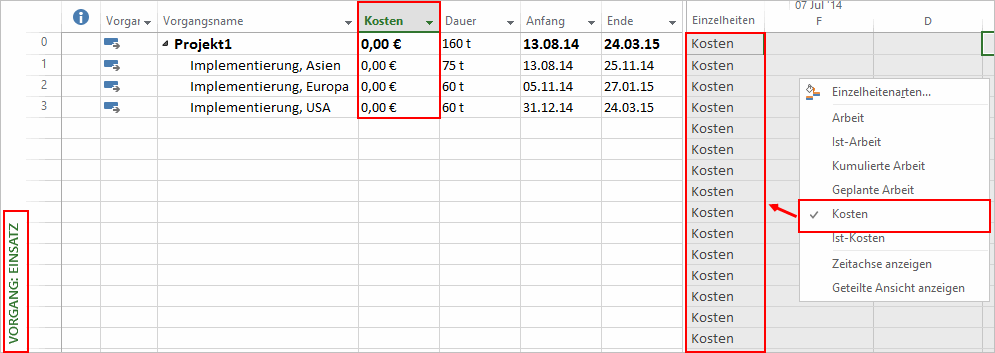 MS Project Kostenplanunfg variabel - Kostenfelder