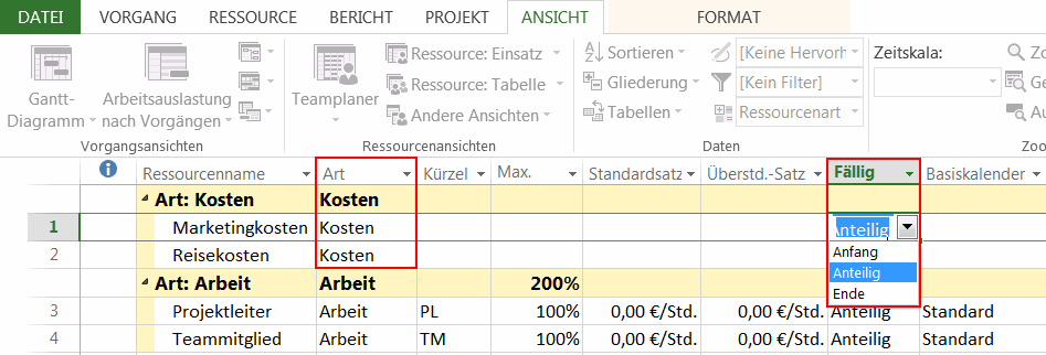 MS Project Kostenplanung - Anlage der Kosten