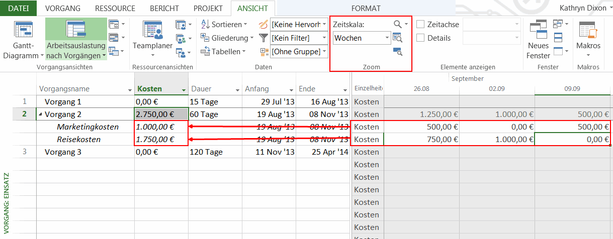 MS Project Kostenplanung - Gesamtkosten darstellen