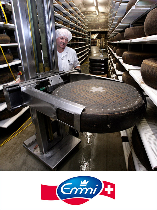 Download Emmi Case Study