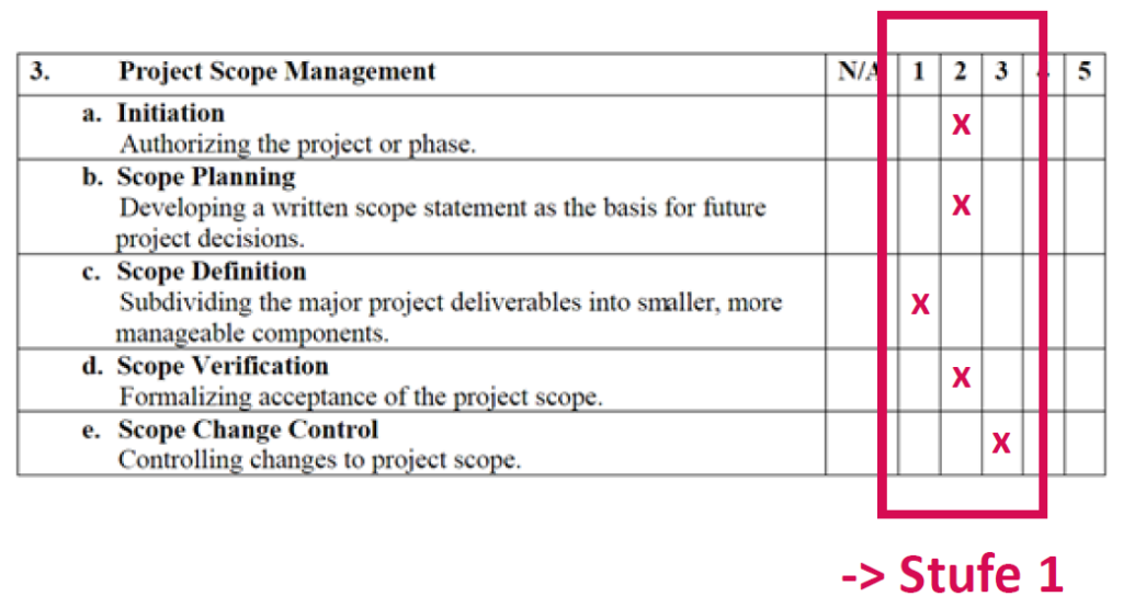 Beispielhafter Fragebogen zu Reifegrad im Projektmanagement