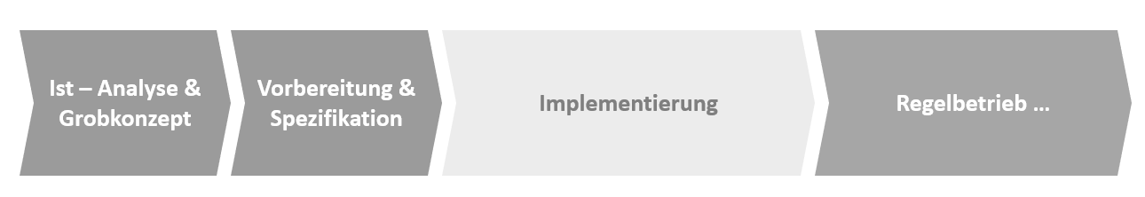 PMO einführen - Stufe 3