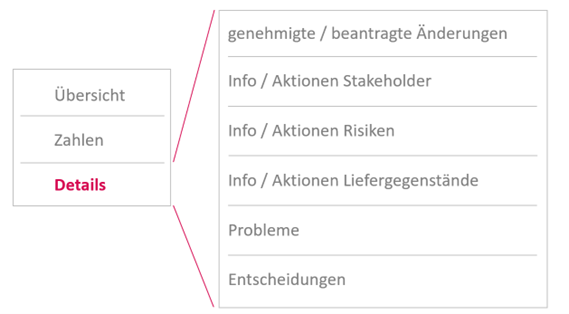 Reporting Projektmanagement - Projekt Berichte Details