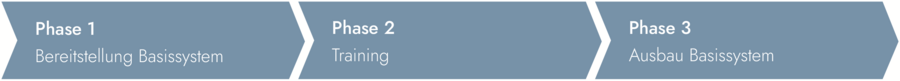 Project Online Einführung Phasen