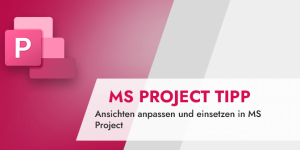 Ansichten anpassen und einsetzen in MS Project (MS Project Tipp)
