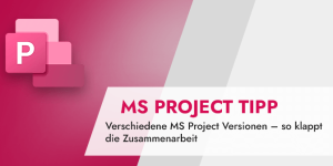 Verschiedene MS Project Versionen Datenaustausch