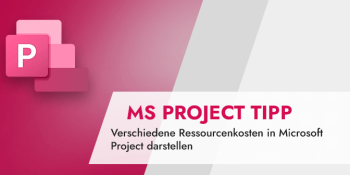 MS Project Ressourcenkosten darstellen